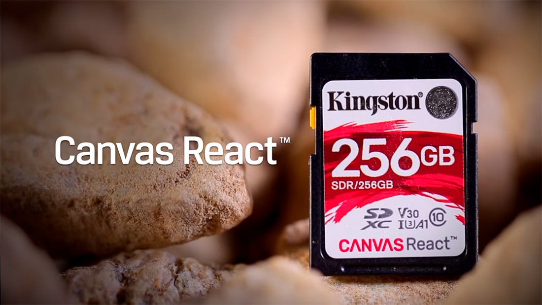 Kingston nos muestra los distintos usos de sus tarjetas de memoria