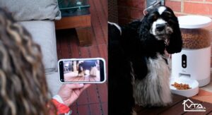 Ya empezó la nueva normalidad en la oficinas... ¿alguien ha penado en las mascotas?