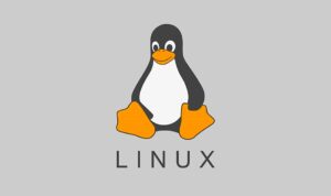 linux