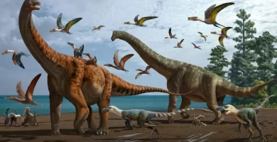 El objeto que acabó con los dinosaurios se originó en las cercanías de nuestro sistema solar.