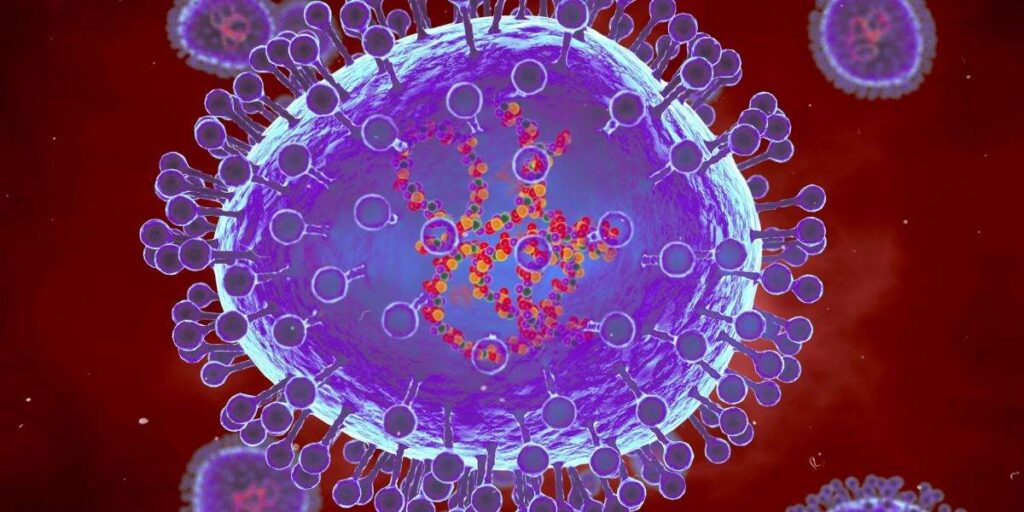 Metapneumovirus humano